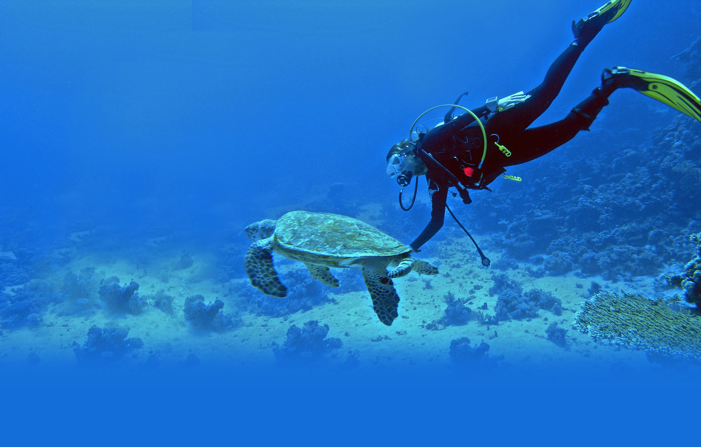 Scuba Diving in Andaman Islands 